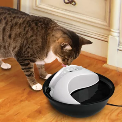 Product Pioneer Pet® Raindrop™ Pet Fountain