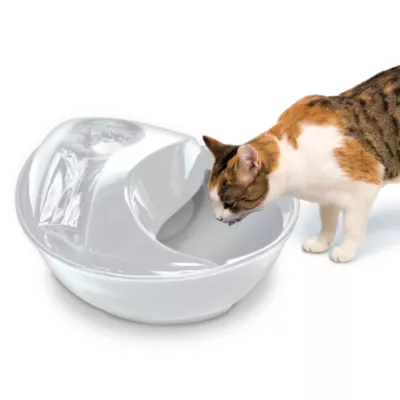 Product Pioneer Pet® Raindrop™ Ceramic Pet Fountain