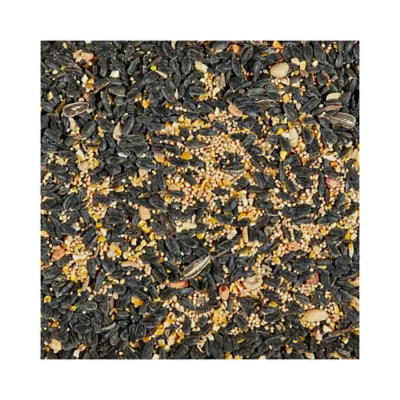 Product KAYTEE® Songbird Blend Wild Bird Food