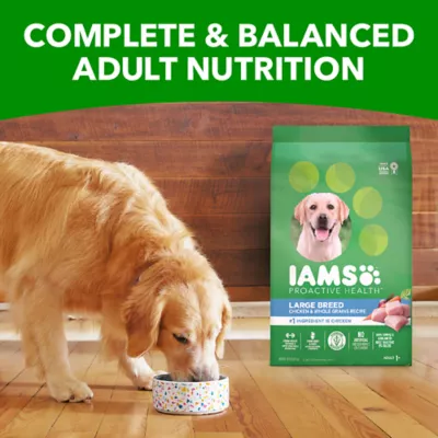 Product Iams Proactive Health Large Breed Adult Dry Dog Food with Real Chicken & Whole Grains