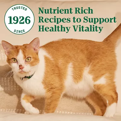 Product Nutro Wholesome Essentials™ Indoor Senior Dry Cat Food - Natural, Chicken & Brown Rice