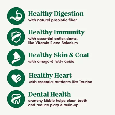 Product Nutro Wholesome Essentials ™ Adult Dry Cat Food - Non-GMO, Natural, Salmon & Brown Rice