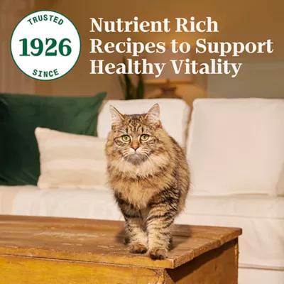 Product Nutro Wholesome Essentials ™ Adult Dry Cat Food - Non-GMO, Natural, Salmon & Brown Rice