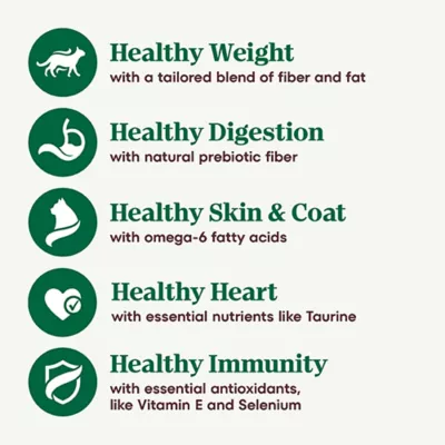 Product Nutro Wholesome Essentials ™ Indoor Adult Dry Cat Food - Non-GMO, Natural, Chicken & Brown Ric