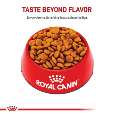 Product Royal Canin Size Health Nutrition Medium Breed Adult Dry Dog Food