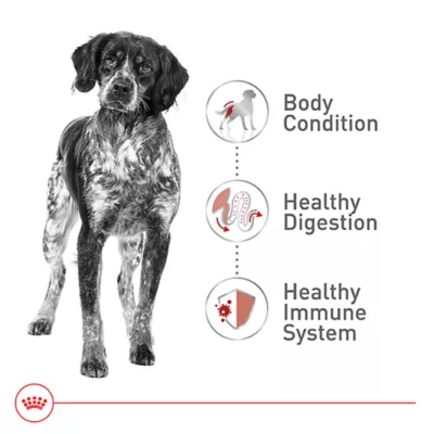 Product Royal Canin Size Health Nutrition Medium Breed Adult Dry Dog Food