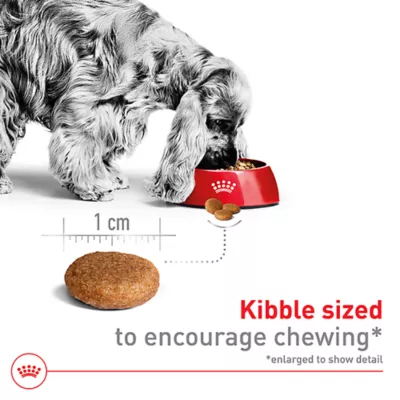 Product Royal Canin Size Health Nutrition Medium Breed Adult Dry Dog Food