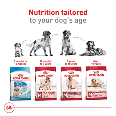 Product Royal Canin Size Health Nutrition Medium Breed Adult Dry Dog Food