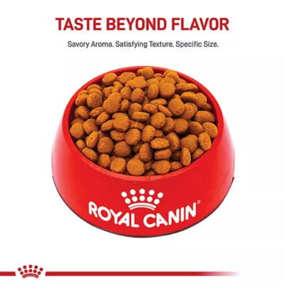 Product Royal Canin Size Health Nutrition Large Breed Adult 5+ Dog Dry Food - 30 lb