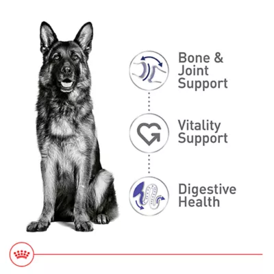 Product Royal Canin Size Health Nutrition Large Breed Adult 5+ Dog Dry Food - 30 lb