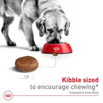 Product Royal Canin Size Health Nutrition Large Breed Adult 5+ Dog Dry Food - 30 lb