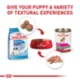 Product Royal Canin Giant Puppy Dry Dog Food, Size Health Nutrition