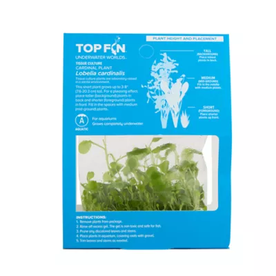 Product Top Fin® Lobelia Cardinalis Live Plant