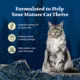 Product Blue Buffalo Wilderness Senior Wet Cat Food - Grain Free, 3 Oz.
