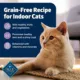 Product Blue Buffalo Freedom Adult Wet Cat Food - Grain Free, 5.5 Oz.