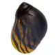 Product Mixed Nerite Snail