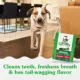 Product Greenies™ Adult Regular Dog Dental Treats - Natural, Oral Health, Original