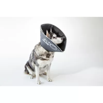 Product All Four Paws Black Comfy Cone Dog E-Collar