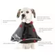 Product All Four Paws Black Comfy Cone Dog E-Collar