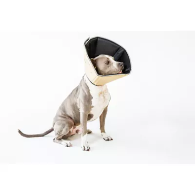 Product All Four Paws Tan Comfy Cone Dog E-Collar