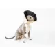 Product All Four Paws Tan Comfy Cone Dog E-Collar