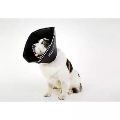 Product All Four Paws Black Comfy Cone Dog E-Collar