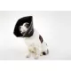 Product All Four Paws Black Comfy Cone Dog E-Collar