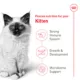 Product Royal Canin Feline Kitten Dry Cat Food, Health Nutrition for Kittens