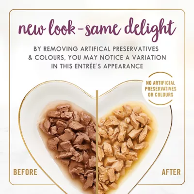 Product Fancy Feast Gravy Lovers Wet Cat Food