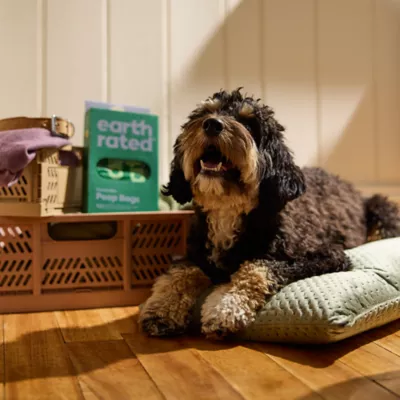 Product Earth Rated Leak-Proof Easy-Tie Dog Poop Bags with Handles, Lavender, 120 Count