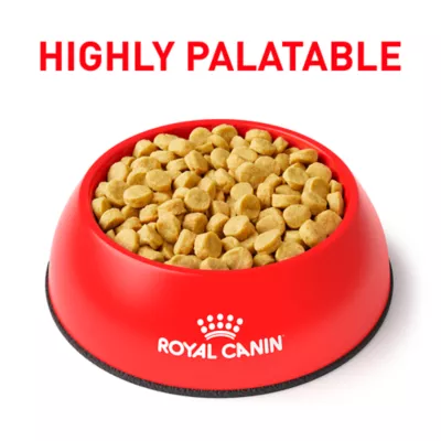 Product Royal Canin® Veterinary Diet Hydrolyzed Protein HP Adult Dog Dry Food