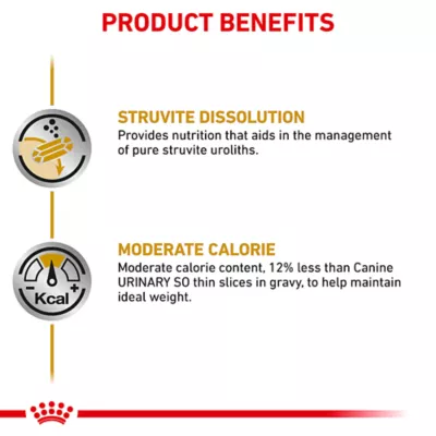 Product Royal Canin® Veterinary Diet Urinary SO Moderate Calorie Adult Dog Wet Food in Gravy  12.5 oz can