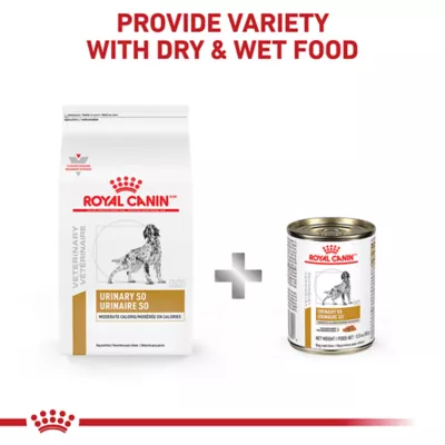 Product Royal Canin® Veterinary Diet Urinary SO Moderate Calorie Adult Dog Wet Food in Gravy  12.5 oz can