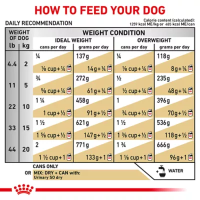 Product Royal Canin® Veterinary Diet Urinary SO Moderate Calorie Adult Dog Wet Food in Gravy  12.5 oz can