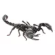 Product Asian Forest Scorpion