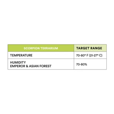 Product Asian Forest Scorpion