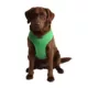 Product Puppia® Soft Adjustable Over-the-Head Mesh Dog Harness