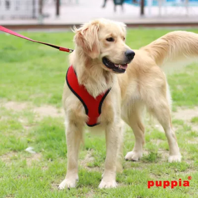 Product Puppia® Soft Adjustable Over-the-Head Mesh Dog Harness