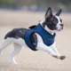Product Puppia® Step-In Soft Vest Dog Harness