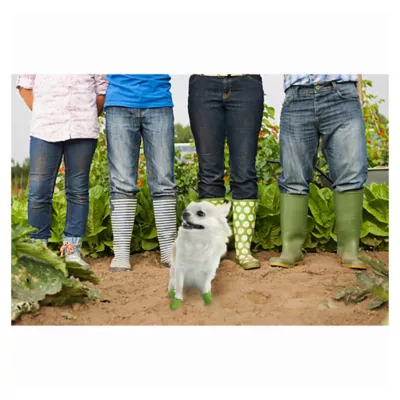 Product PawZ® Rubber Dog Boots