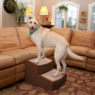 Product Pet Gear Easy Step II Extra Wide Pet Steps