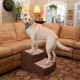 Product Pet Gear Easy Step II Extra Wide Pet Steps