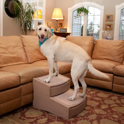 Product Pet Gear Easy Step II Extra Wide Pet Steps