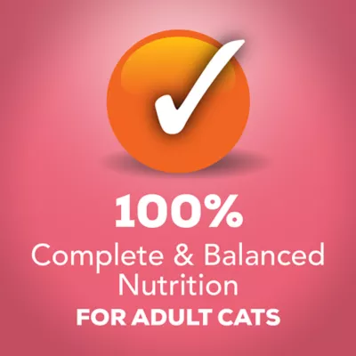 Product Friskies® Extra Gravy All Life Stages Cat Wet Food - 5.5 Oz