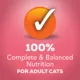Product Friskies® Extra Gravy All Life Stages Cat Wet Food - 5.5 Oz