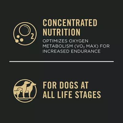Product Purina Pro Plan Sport Performance 30/20 All Life Stages Dry Dog Food - Salmon & Rice