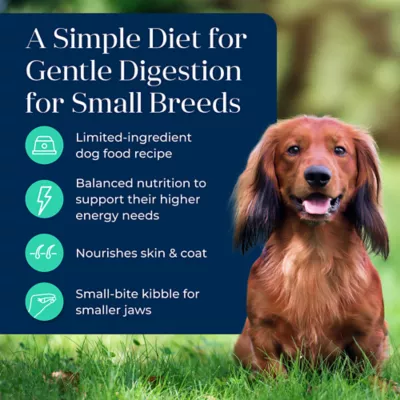 Product Blue Buffalo® Basics™ Skin & Stomach Care Small Breed Adult Dry Dog Food - Grain Free, Lamb