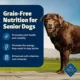 Product Blue Buffalo® Freedom™ Senior 7+ Dry Dog Food - Grain Free, Chicken & Potatoes