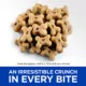 Product Hill's® Science Diet® Crunchy Dog Treat - Natural, Grain Free, Chicken & Apples