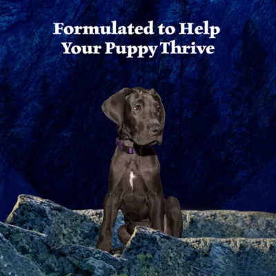 Product Blue Buffalo® Wilderness™ Puppy Wet Dog Food - Grain Free, Turkey & Chicken